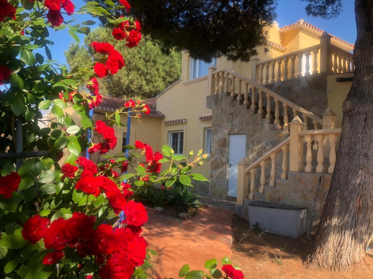 Villa Eliza Dénia Exterior foto